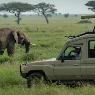 Tanzania Luxury Safari | 6 Days Serengeti, Ngorongoro & Tarangire